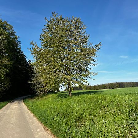 Klosterberghaus - Kontaktloser Check-In Elchingen Eksteriør billede